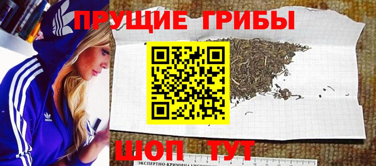 Коммунар  Псилоцибиновые грибы мухоморы  Вход с VPN  магазин  наркотиков  Псилоцибиновые грибы MAGIC MUSHROOMS 